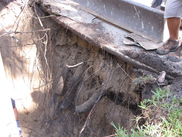 DRAINFIED REPAIRS