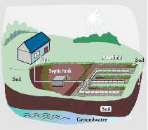 septic system tank conventional drainfield systems depth florida ground mound installation health pumps diagram gravity basics onsite installed required soil